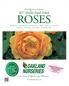 ROSES. 77years Quality Hand-Potted. Proudly presenting our.  Celebrate the Rose Festival!