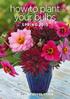 how to plant your bulbs SPRING 2015