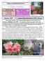 Eureka Chapter. January Tropical Rhododendrons? YES, Vireyas