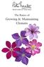 The Basics of. Growing & Maintaining Clematis