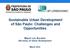 Sustainable Urban Development of São Paulo: Challenges and Opportunities