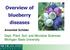 Overview of blueberry diseases Annemiek Schilder