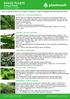 SHADE PLANTS PROFILE SHEET. Foliage Plants. Birds Nest Fern - Asplenium australasicum. Giant Taro - Alocasia macrorrhizos