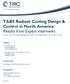 TABS Radiant Cooling Design & Control in North America: Results from Expert Interviews