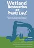 Private Land. Wetland. Restoration. A primer for landowners who want to restore wetlands on their property. Inside: