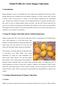 Model Profile for 1.0 ha Mango Cultivation