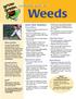 earth-wise guide to Least Toxic Solutions Prevent Weeds Keep plants healthy to help them outcompete