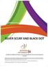 SILVER SCURF AND BLACK DOT. Compiled and published by Potatoes South Africa (Department: Research and Development) June 2015