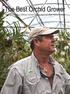 The Best Orchid Grower. With More Than a Million Orchids Under His Care, Rob Palmer s Skills