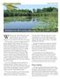 Arboretum Wetlands: Hidden Value in Plain Sight