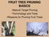 FRUIT TREE PRUNING BASICS. Natural Target Pruning Terminology and Tools Reasons for Pruning Fruit Trees