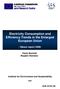 Electricity Consumption and Efficiency Trends in the Enlarged European Union