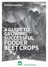 A GUIDE TO GROWING SUCCESSFUL FODDER BEET CROPS