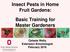 Insect Pests in Home Fruit Gardens: Basic Training for Master Gardeners. Celeste Welty Extension Entomologist February 2016