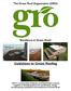 Guidelines to Green Roofing
