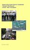 Report of the Expert Panel on Sustainable Transport Planning and Central - Wan Chai Bypass