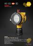 ESD3000 ESD200 Combustible / Toxic Gas Detector