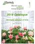 World leader in peony. micropropagation Catalogue. the largest collection of Itohs. planteck.com