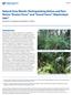 Natural Area Weeds: Distinguishing Native and NonNative Boston Ferns and Sword Ferns (Nephrolepis