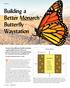 Building a Better Monarch Butterfly Waystation