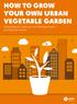 HOW TO GROW YOUR OWN URBAN VEGETABLE GARDEN. Simple steps to create your own little green patch and enjoy the harvest.