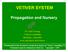 VETIVER SYSTEM. Propagation and Nursery. Dr. Paul Truong Veticon Consulting Brisbane, Australia