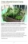3 Steps to Bountiful Container Growing Urban Turnip with Dan Mowinski