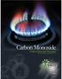 Carbon Monoxide. Carbon Monoxide Poisoning. Data & Measures Environment, Exposure & Health Minnesota Environmental Public Health Tracking