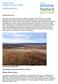 Peatland Action Guidance for land managers. Installing peat dams. Updated May 2015