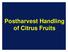 Postharvest Handling of Citrus Fruits