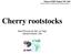 Cherry COST Action FA 1104 Training school «Rootstocks and training systems» Cherry rootstocks. Sara Pinczon du Sel, La Tapy Gérard Charlot, Ctifl