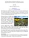 Endangered Flatwoods Sunflower (Helianthus carnosus): Management Recommendations for Roadside Populations