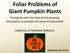 Foliar Problems of Giant Pumpkin Plants