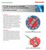 STT700 Temperature Transmitter Lightning Protection Device Specifications 34-TT-03-20, June 2017