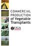 of Vegetable Transplants