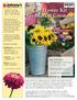 Cut Flower Kit for Market Growers