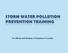 STORM WATER POLLUTION PREVENTION TRAINING. For Officials and Residents of Doylestown Township