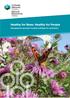 Healthy for Bees: Healthy for People. Managing the grounds of public buildings for pollinators