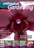 ASIAN SPICES MAGNETIC ISLAND ORCHIDS POTTING MIXES ROOFTOP GARDEN. WINNER! 2012 Most Popular Gardening Publication