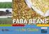 FABA BEANS. the Ute Guide