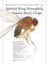 Spotted Wing Drosophila in Organic Berry Crops