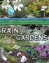 Toledo - Lucas County. A Homeowner s How-To Guide RAIN GARDENS. for Northwest Ohio