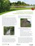 What is a Riparian Area and How Does It Benefit You?