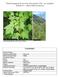 Plant Propagation Protocol for Acer glabrum Torr. var. douglasii ESRM 412 Native Plant Production