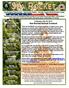 Florida Native Plant Society ~ Sea Rocket Chapter ~ Serving Central & North Brevard County JULY 2013