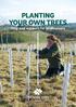 PLANTING YOUR OWN TREES Help and support for landowners