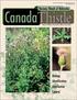 CanadaThistle. Noxious Weeds of Nebraska. Biology Identification Distribution Control. Robert Wilson, Extension Weeds Specialist