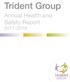 Trident Group. Annual Health and Safety Report