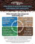 YOUR GUIDE TO HEALTHY DESERT SOILS FOR PRODUCTIVE LANDSCAPES