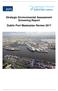 Strategic Environmental Assessment Screening Report. Dublin Port Masterplan Review 2017